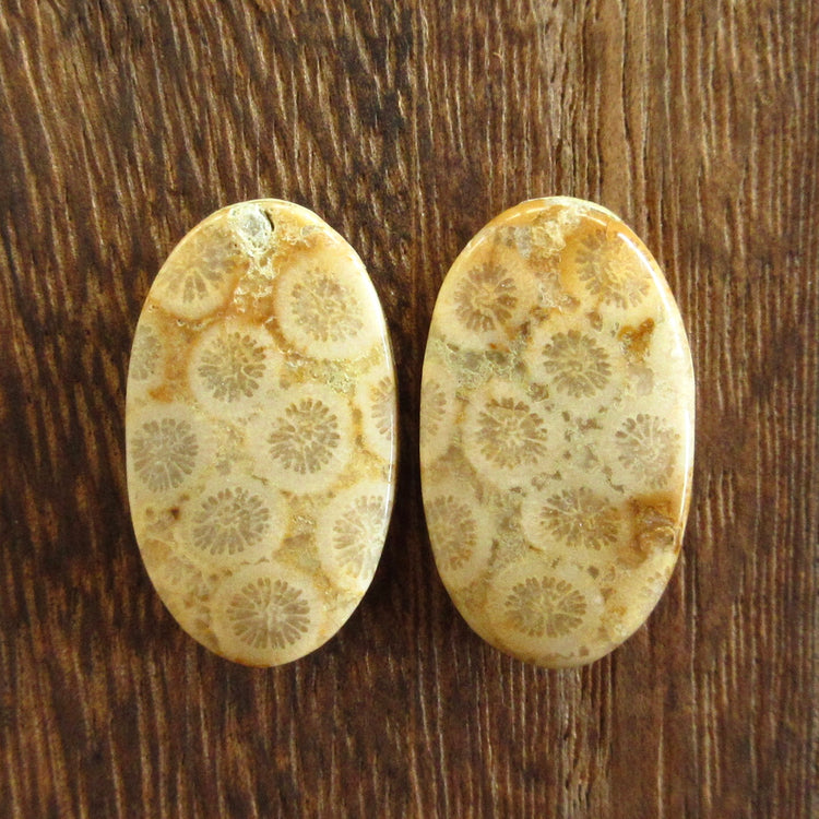 フォッシルコーラル 天然石ルースペア