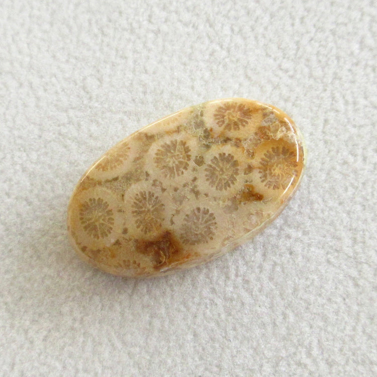 フォッシルコーラル 天然石ルースペア