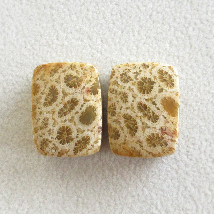 フォッシルコーラル 天然石ルースペア