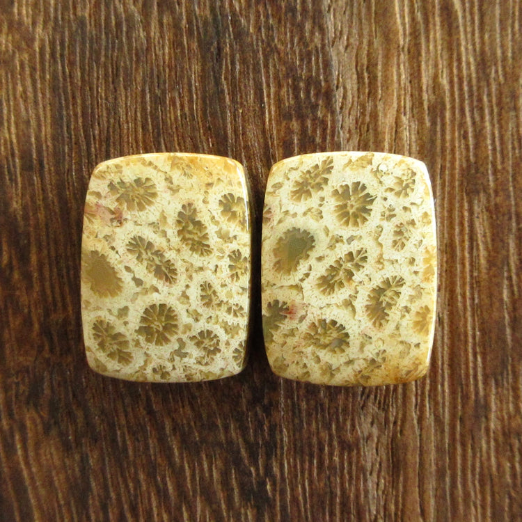 フォッシルコーラル 天然石ルースペア