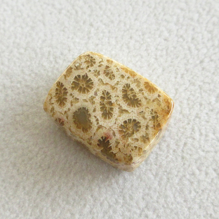 フォッシルコーラル 天然石ルースペア