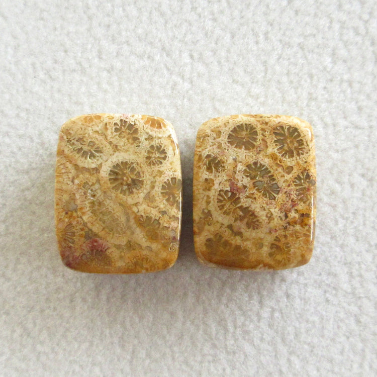 フォッシルコーラル 天然石ルースペア