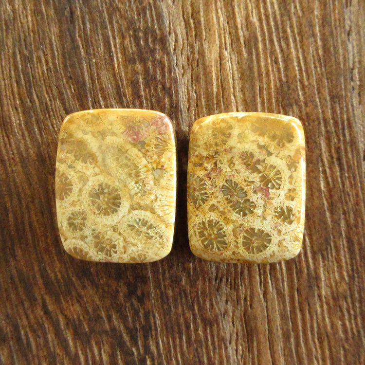 フォッシルコーラル 天然石ルースペア