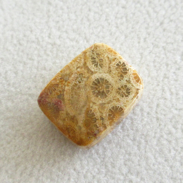 フォッシルコーラル 天然石ルースペア