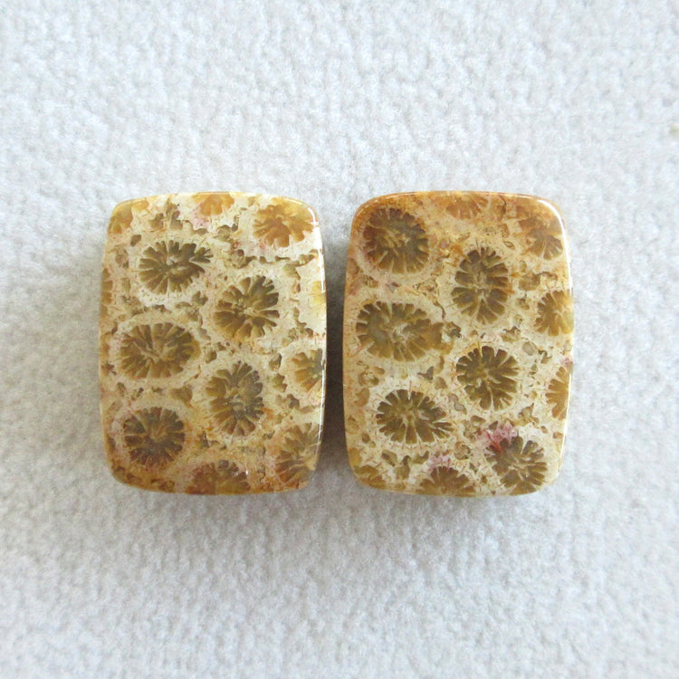 フォッシルコーラル 天然石ルースペア