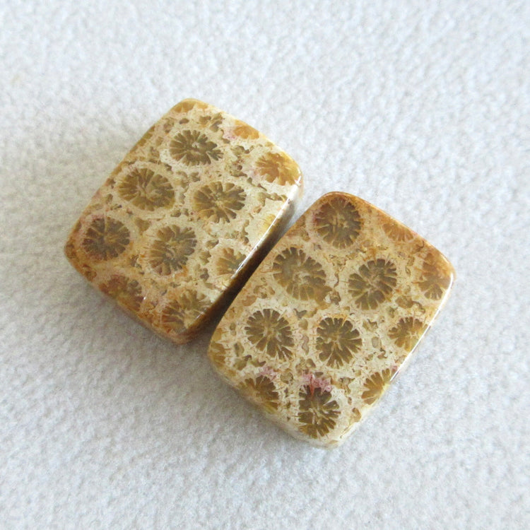 フォッシルコーラル 天然石ルースペア