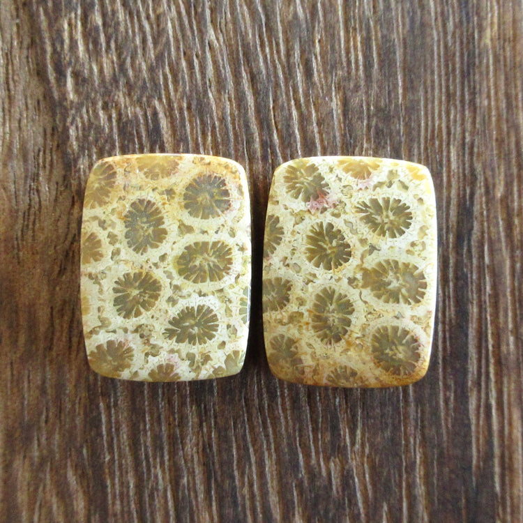 フォッシルコーラル 天然石ルースペア