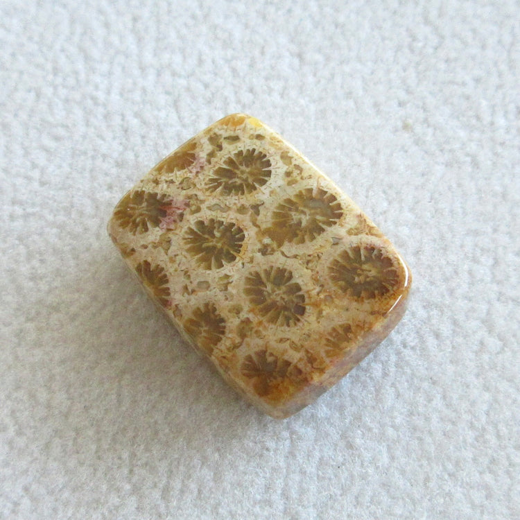 フォッシルコーラル 天然石ルースペア