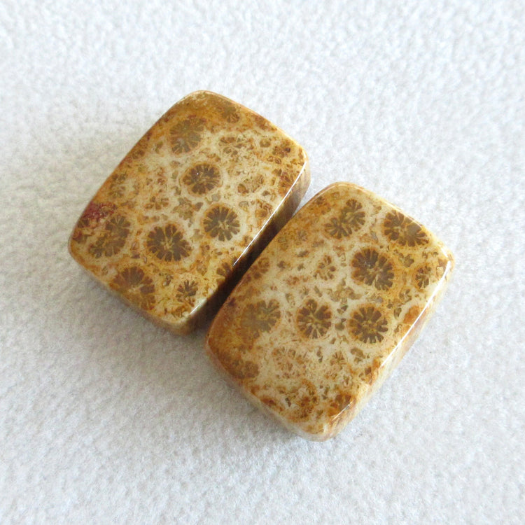 フォッシルコーラル 天然石ルースペア