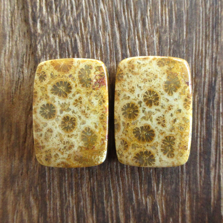 フォッシルコーラル 天然石ルースペア