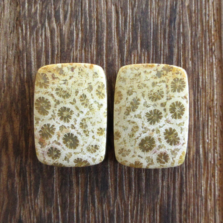 フォッシルコーラル 天然石ルースペア