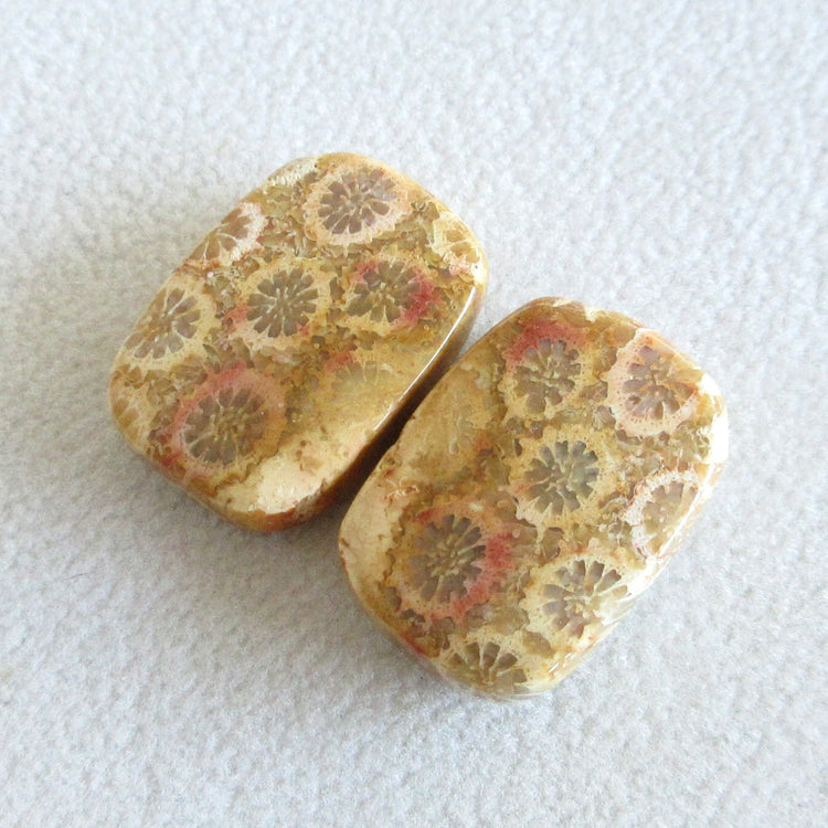 フォッシルコーラル 天然石ルースペア