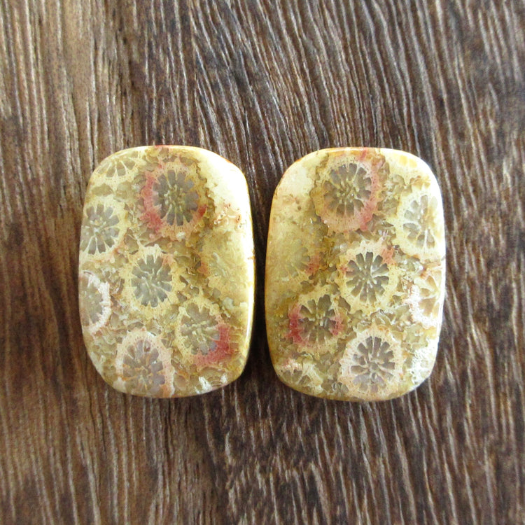 フォッシルコーラル 天然石ルースペア