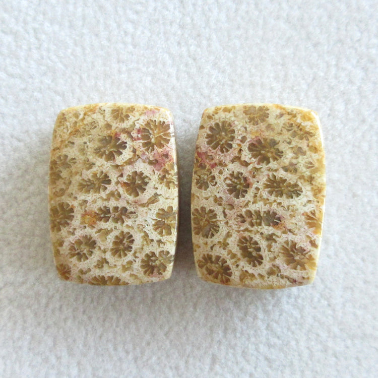 フォッシルコーラル 天然石ルースペア