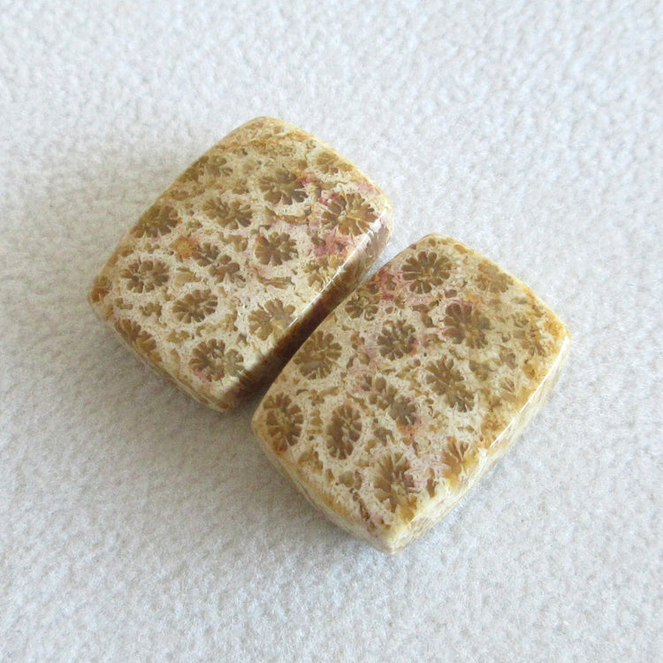 フォッシルコーラル 天然石ルースペア