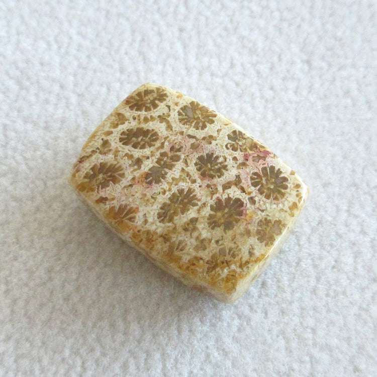 フォッシルコーラル 天然石ルースペア