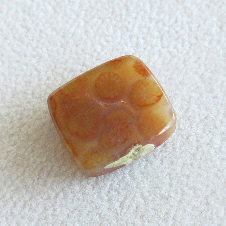 フォッシルコーラル 天然石ルースペア