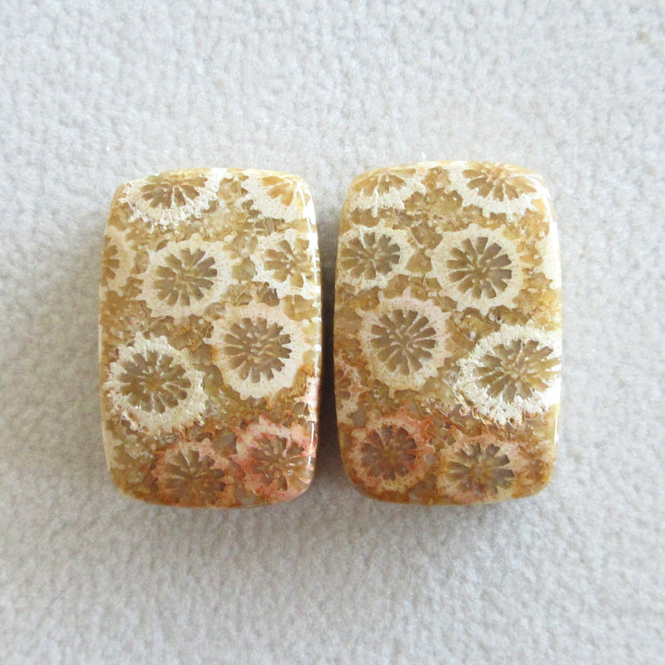 フォッシルコーラル 天然石ルースペア