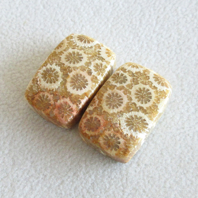 フォッシルコーラル 天然石ルースペア