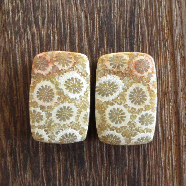 フォッシルコーラル 天然石ルースペア