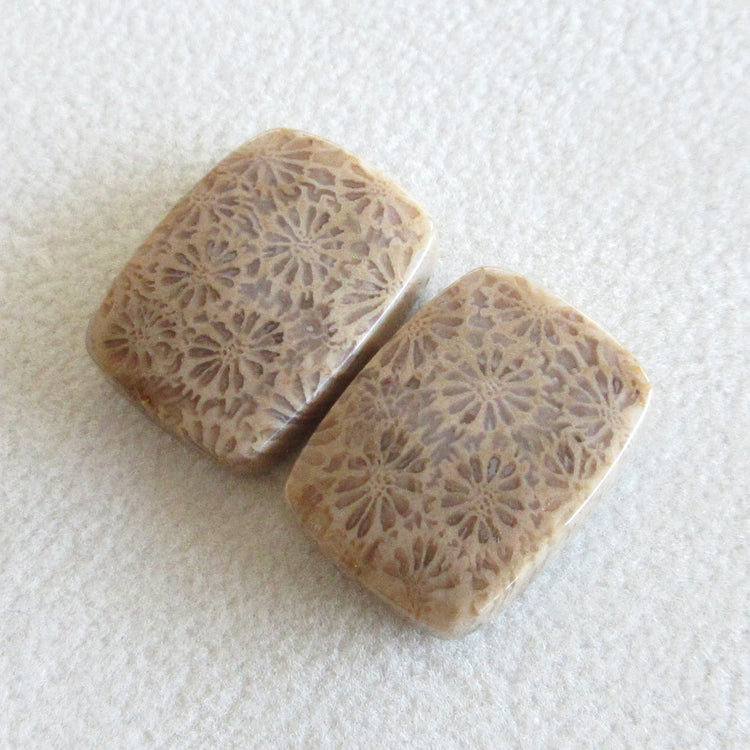 フォッシルコーラル 天然石ルースペア