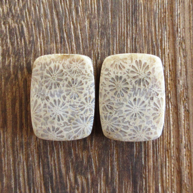 フォッシルコーラル 天然石ルースペア