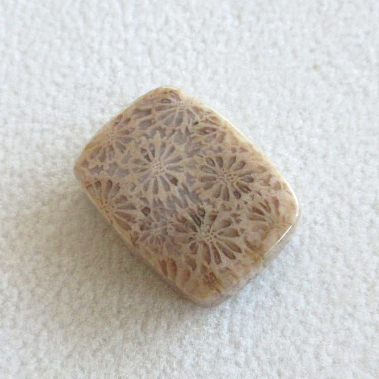 フォッシルコーラル 天然石ルースペア