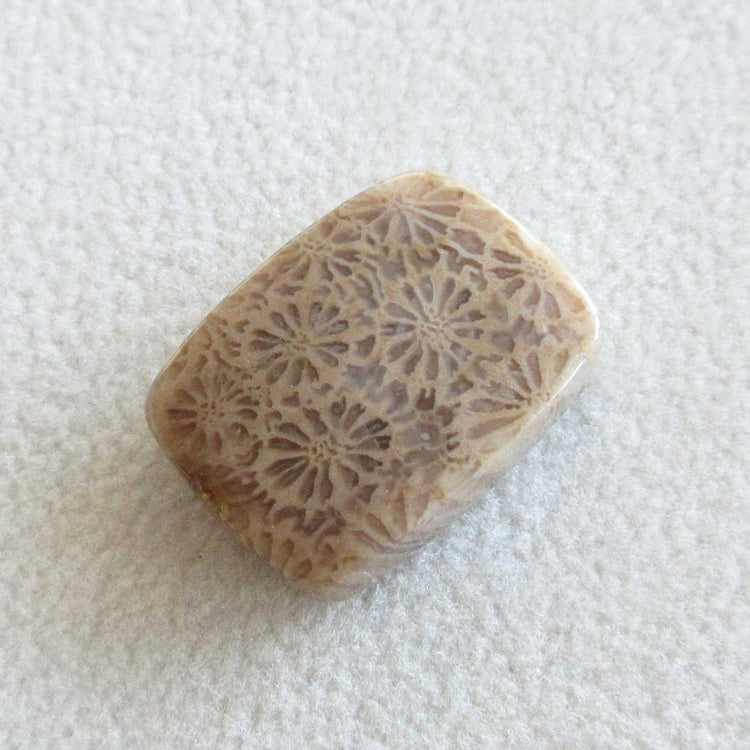 フォッシルコーラル 天然石ルースペア