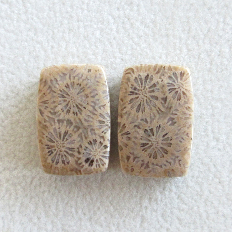 フォッシルコーラル 天然石ルースペア