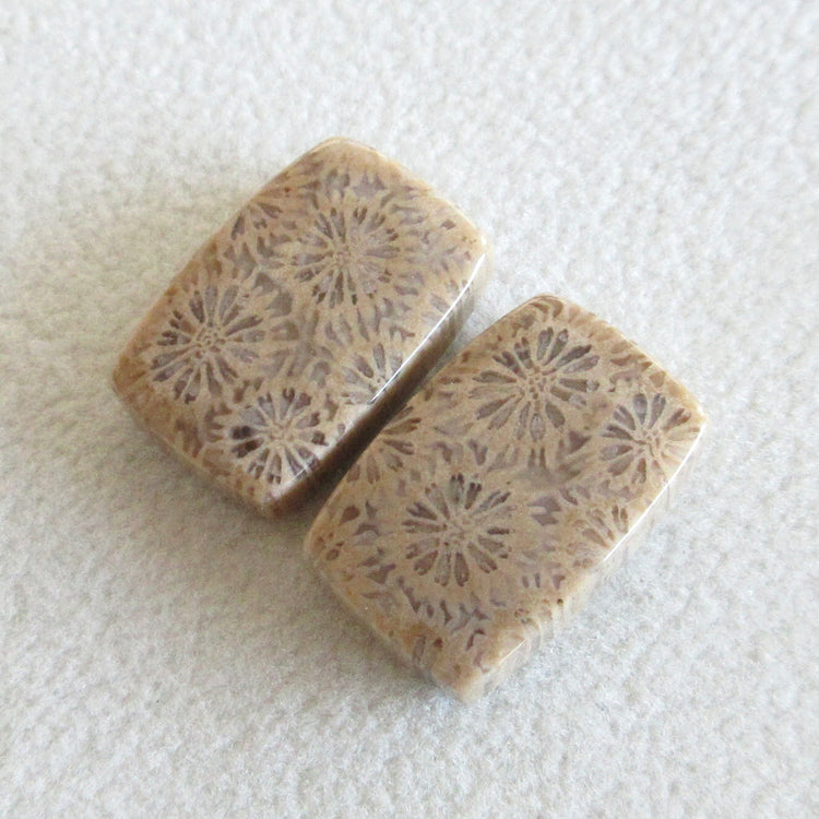 フォッシルコーラル 天然石ルースペア