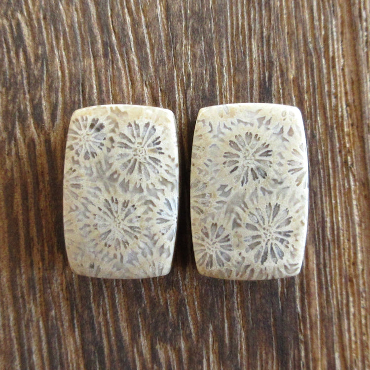 フォッシルコーラル 天然石ルースペア