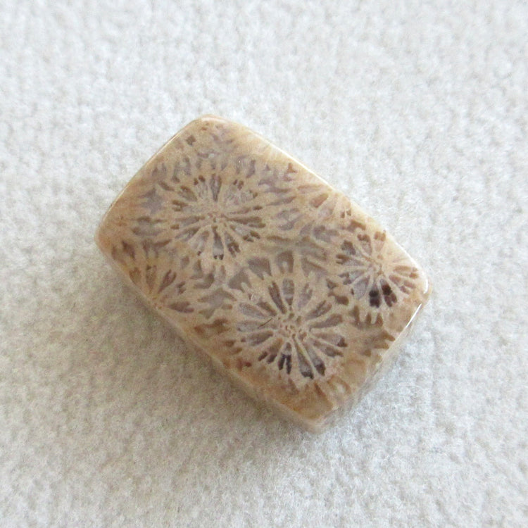 フォッシルコーラル 天然石ルースペア