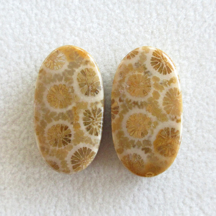 フォッシルコーラル 天然石ルースペア