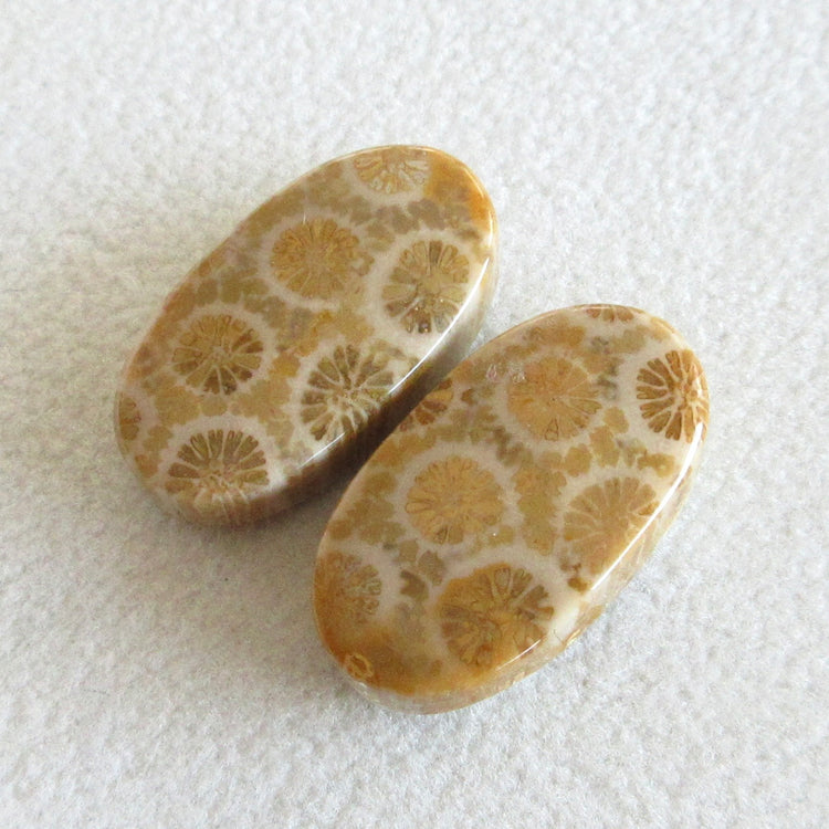 フォッシルコーラル 天然石ルースペア