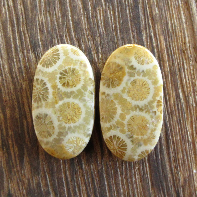 フォッシルコーラル 天然石ルースペア