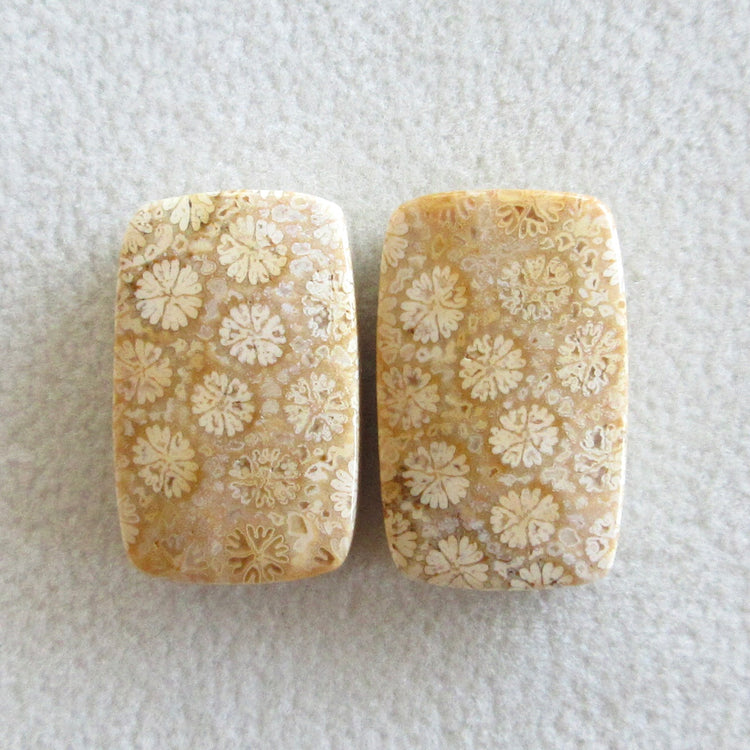 フォッシルコーラル 天然石ルースペア