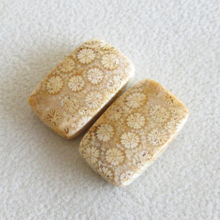 フォッシルコーラル 天然石ルースペア