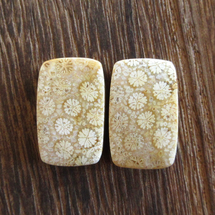 フォッシルコーラル 天然石ルースペア