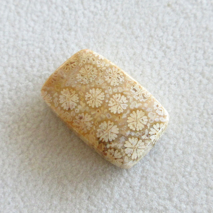 フォッシルコーラル 天然石ルースペア