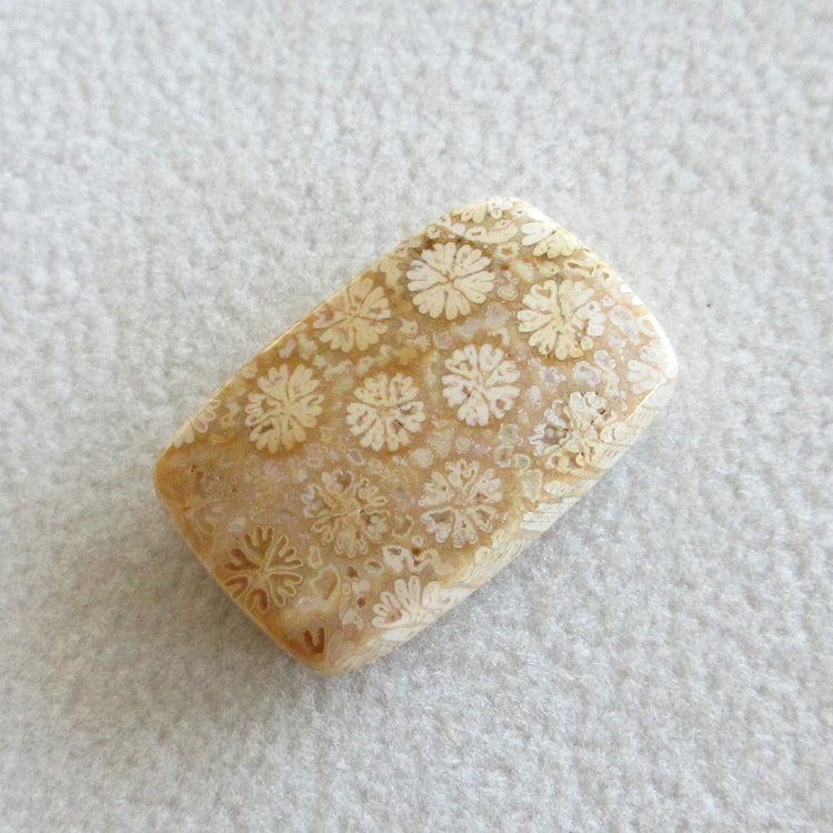 フォッシルコーラル 天然石ルースペア