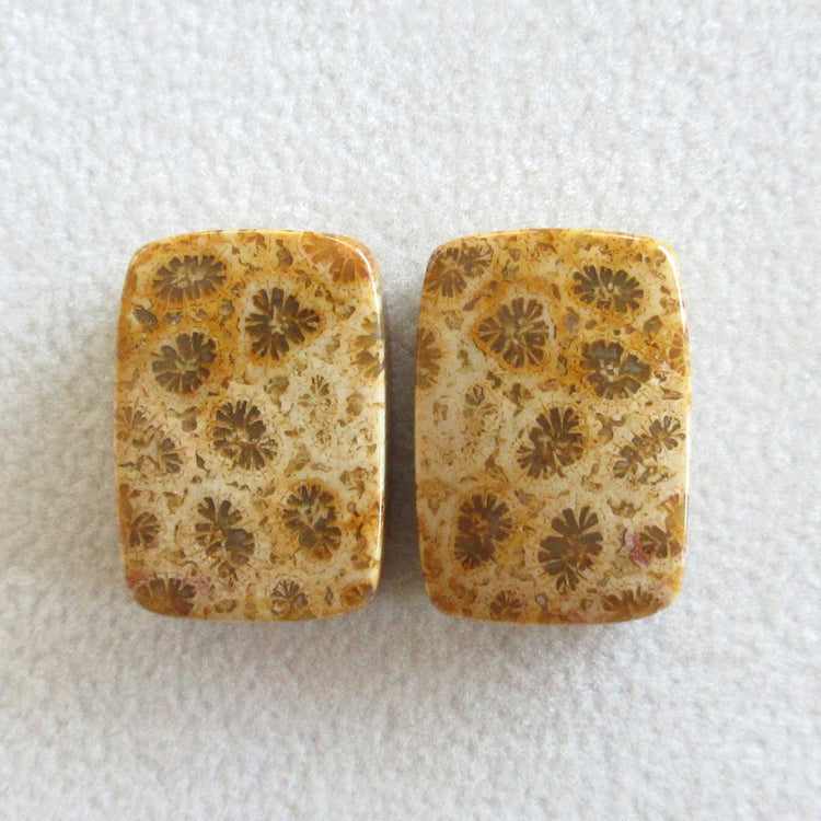 フォッシルコーラル 天然石ルースペア