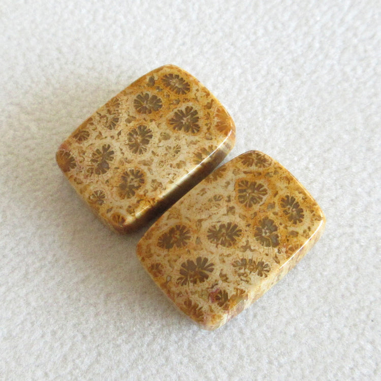 フォッシルコーラル 天然石ルースペア