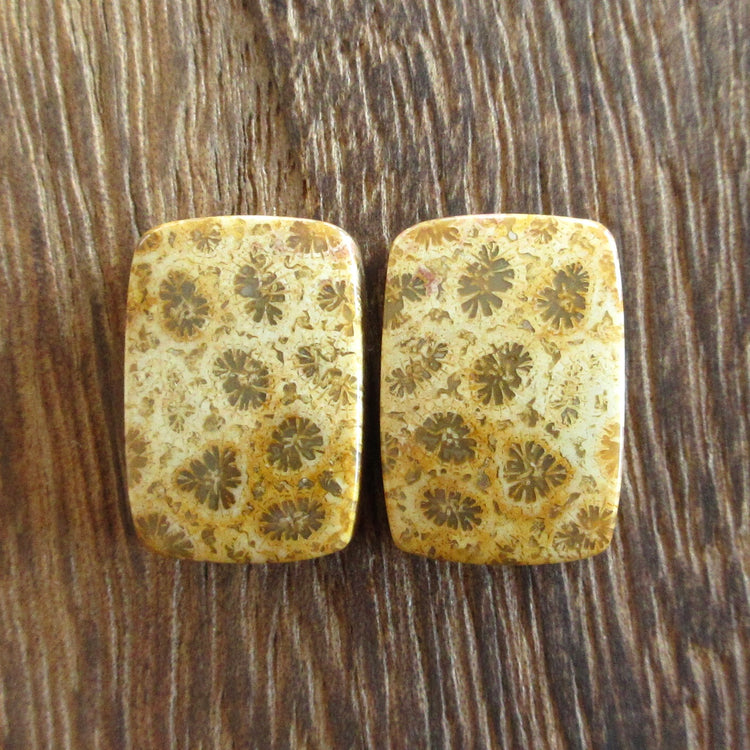 フォッシルコーラル 天然石ルースペア