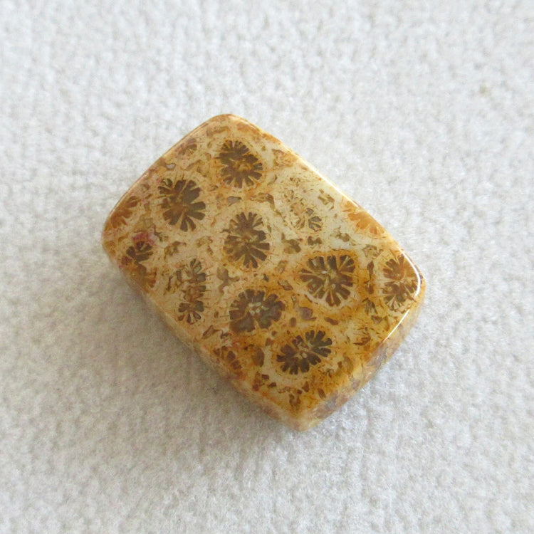 フォッシルコーラル 天然石ルースペア