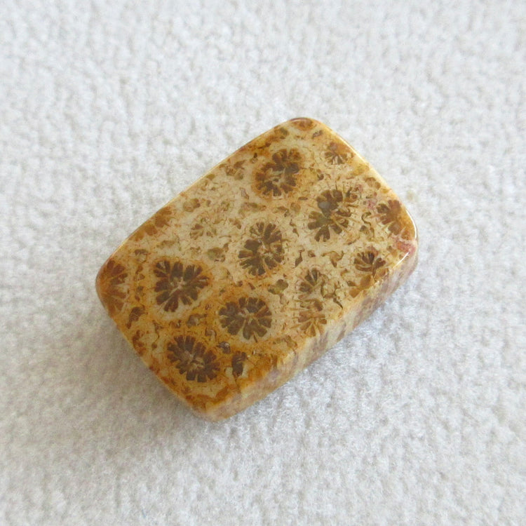 フォッシルコーラル 天然石ルースペア