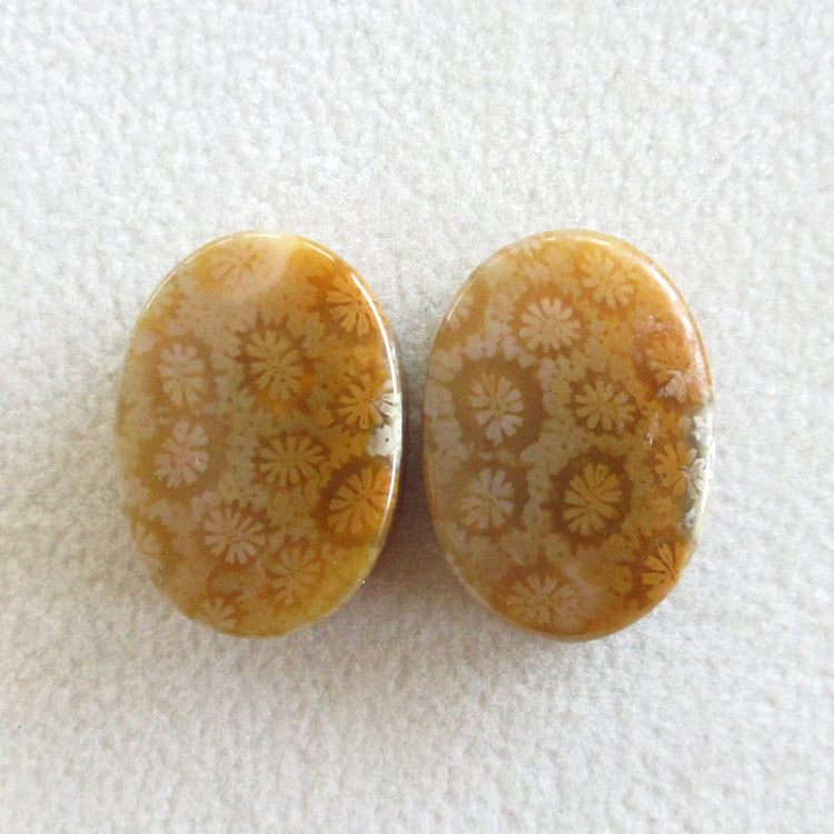 フォッシルコーラル 天然石ルースペア