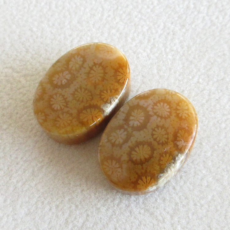 フォッシルコーラル 天然石ルースペア