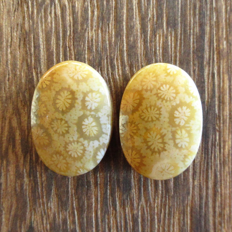 フォッシルコーラル 天然石ルースペア