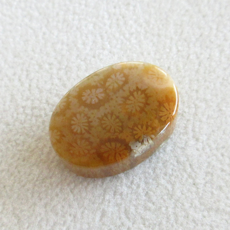 フォッシルコーラル 天然石ルースペア