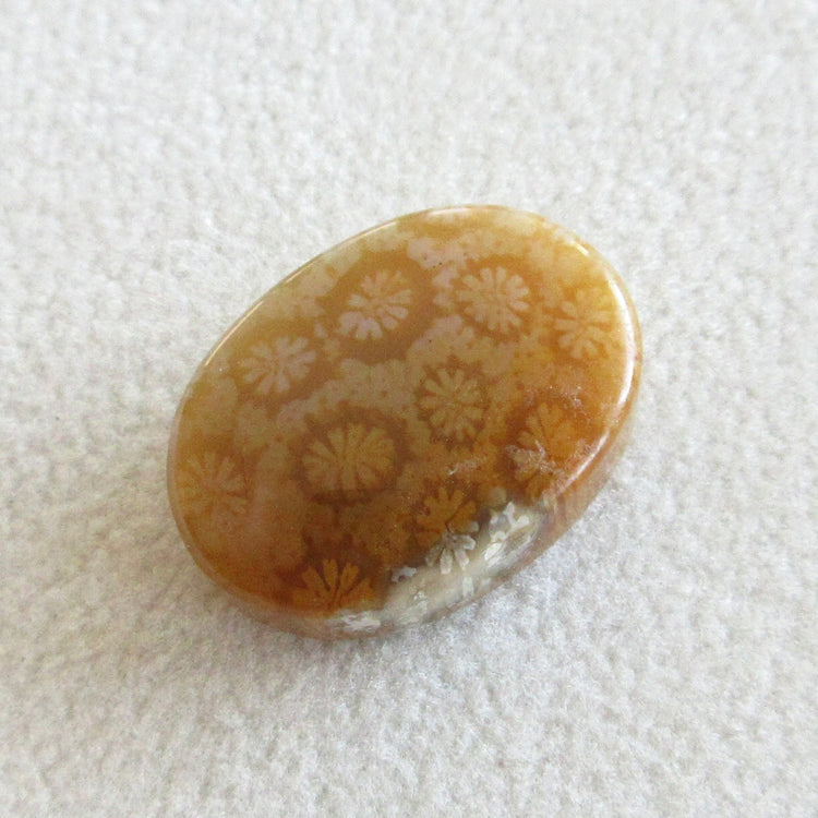 フォッシルコーラル 天然石ルースペア